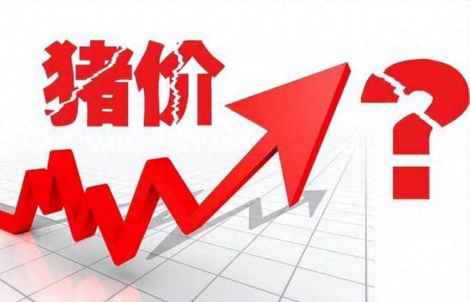 预测：2025年猪价或运行在13-16元！pg电子免费模拟器年末猪价企稳16元！业内(图3)